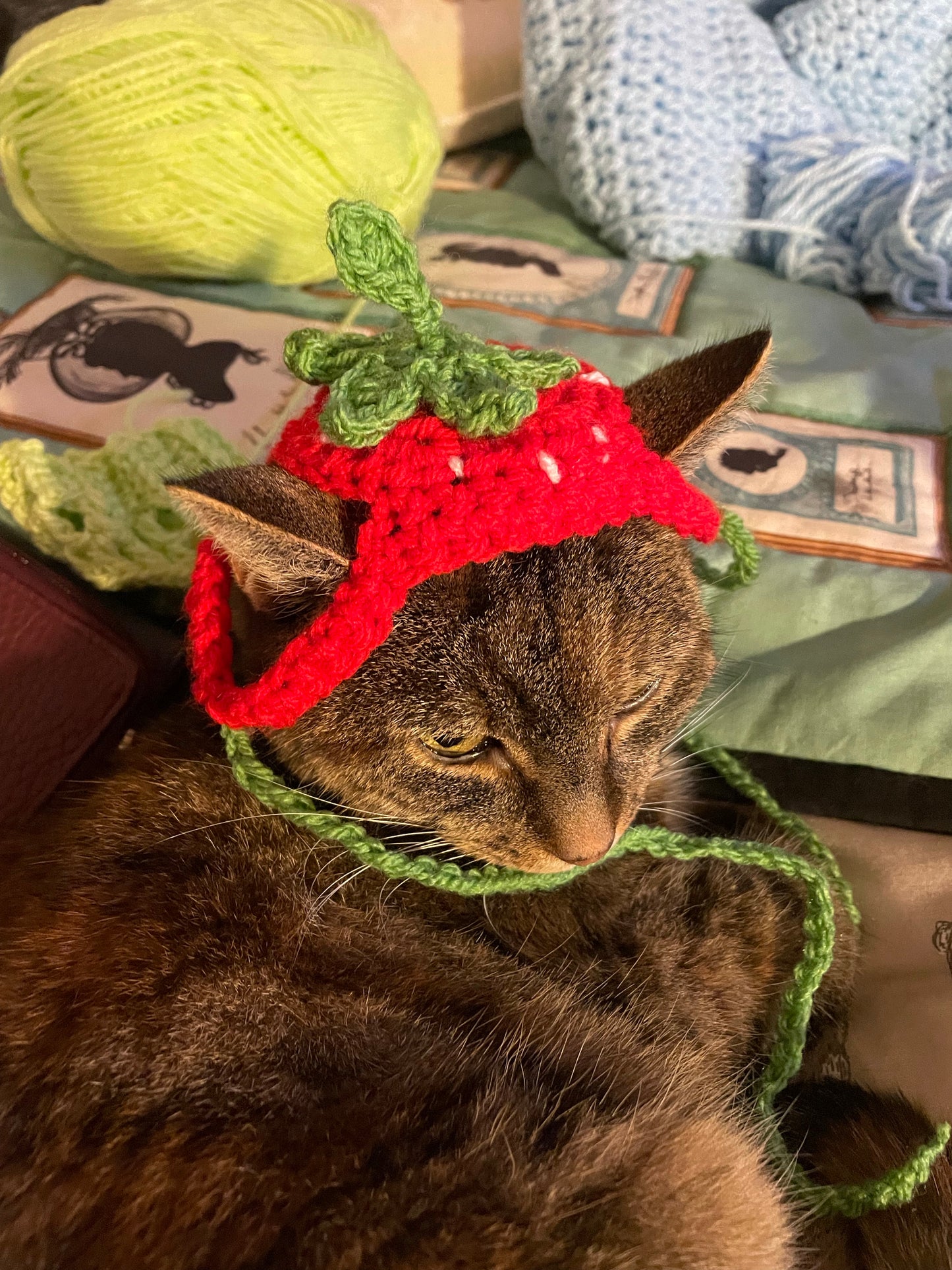 The strawberry bonnet